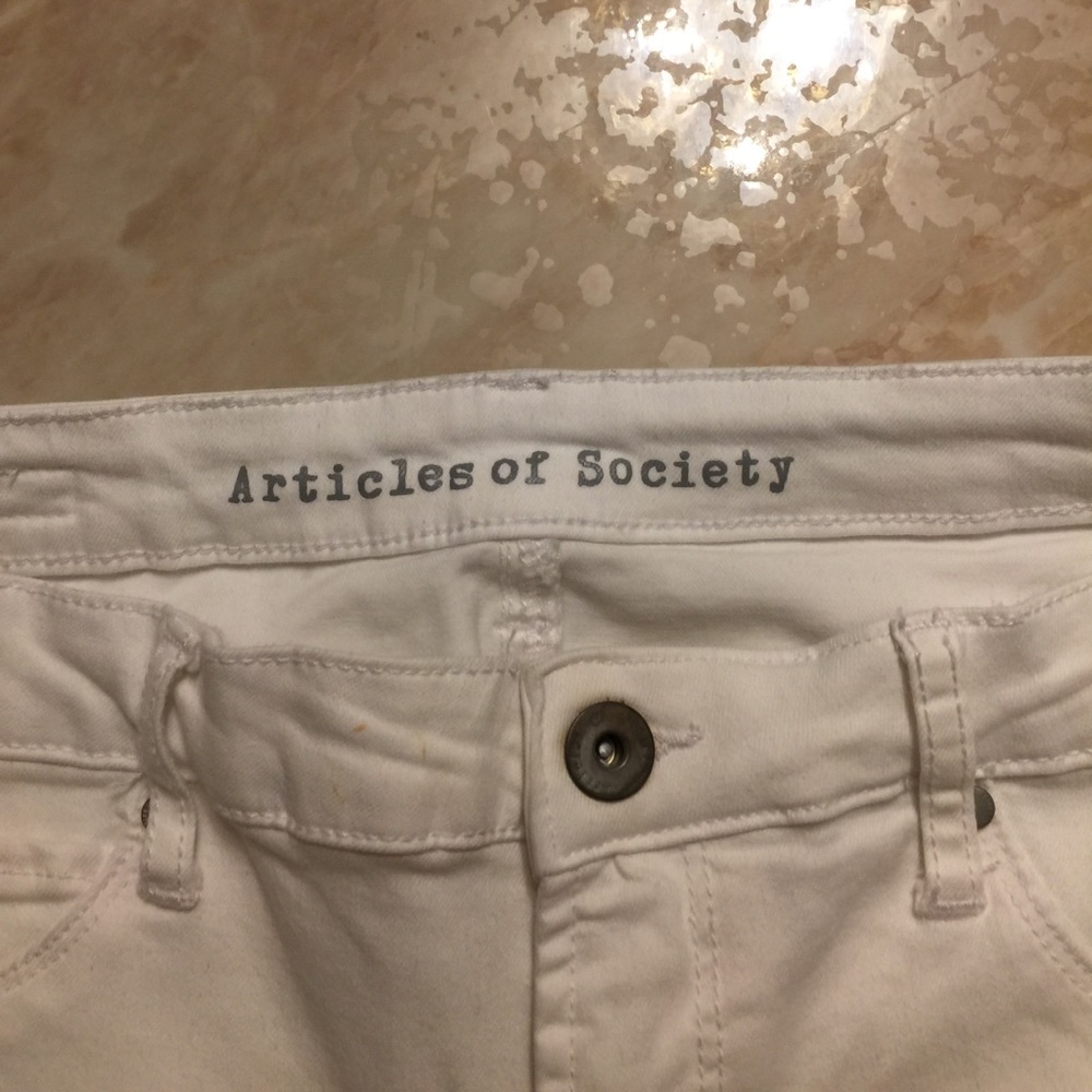 Articles of society size 30x29 - Picture 2 of 5